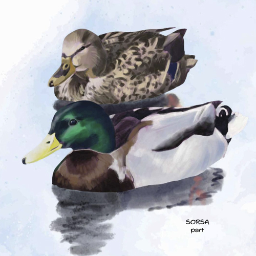 Loomad räägivad Vaivara kihelkonna keeles